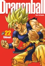 Vol. 22