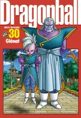 Vol. 30