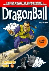 Vol. 6