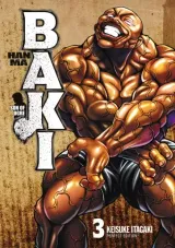 Vol. 3