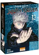 Vol. 13