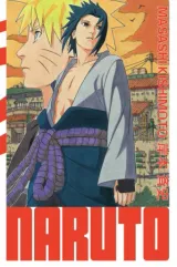 Vol. 19