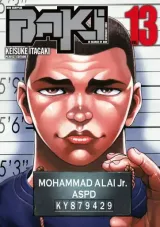 Vol. 13
