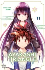 Vol. 11