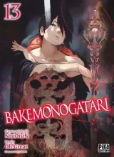 Vol. 13