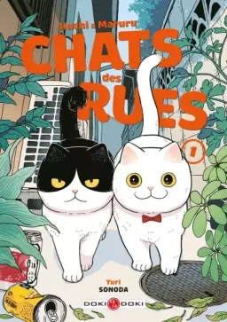 Hachi & Maruru - Chats des rues